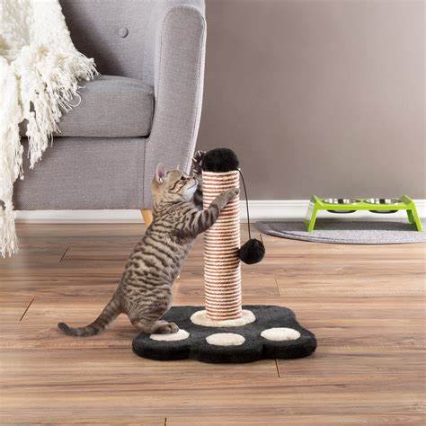 Cat 2